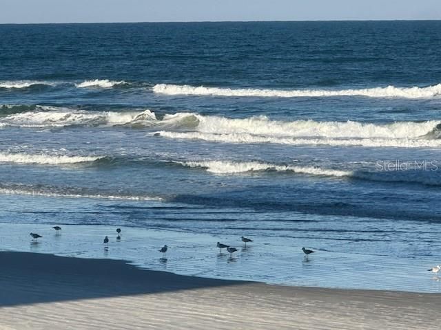 122 CORAL WAY, Port Orange, FL 32127