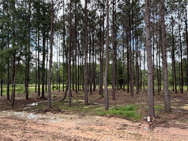 13664 Armstrong Street, Conroe, TX 77303