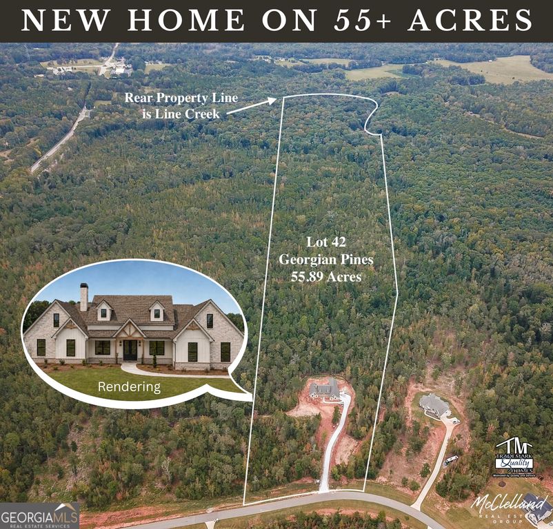 LOT #42 Starlight Dr., Senoia, GA 30276 — exterior