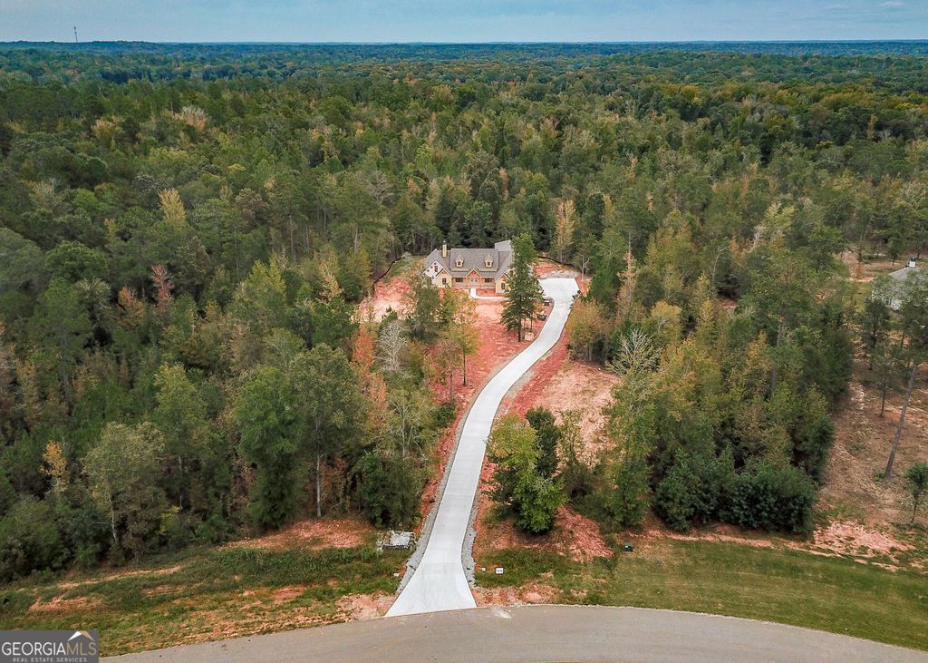 LOT #42 Starlight Dr., Senoia, GA 30276 — photo 4