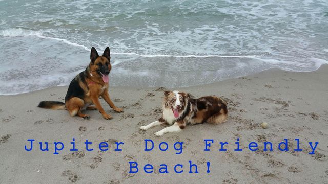 603 Xanadu Place, Jupiter, FL 33477