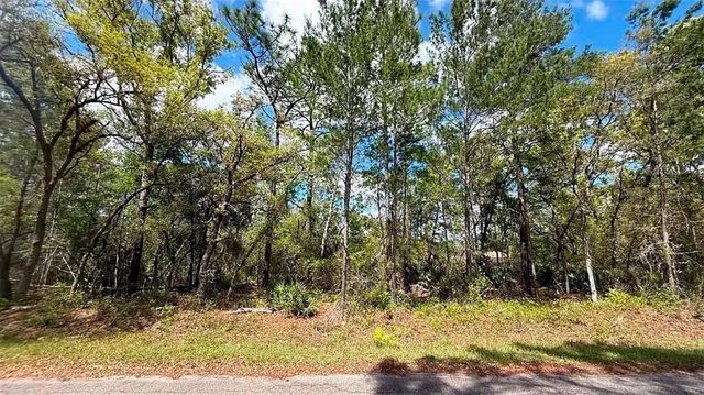 76 FISHER RUN TERRACE, Ocklawaha, FL 32179