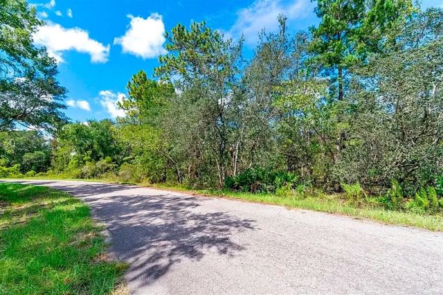 76 FISHER RUN TERRACE, Ocklawaha, FL 32179