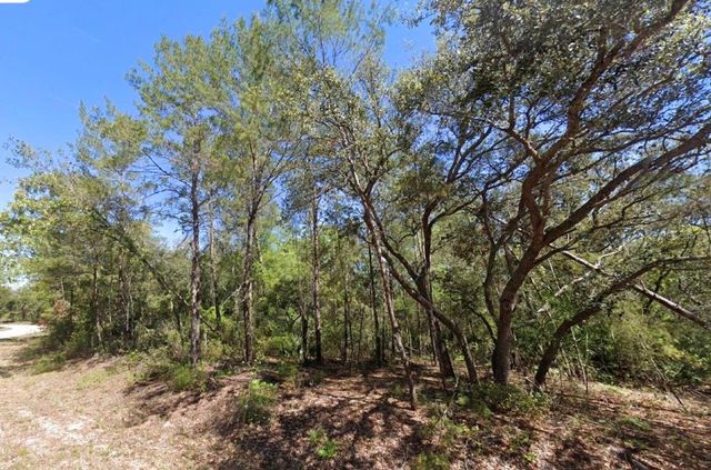 76 FISHER RUN TERRACE, Ocklawaha, FL 32179