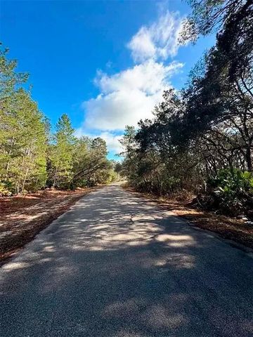 76 FISHER RUN TERRACE, Ocklawaha, FL 32179