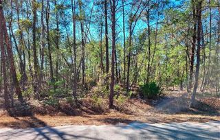 76 FISHER RUN TERRACE, Ocklawaha, FL 32179