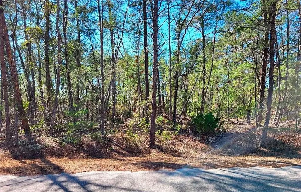 76 FISHER RUN TERRACE, Ocklawaha, FL 32179