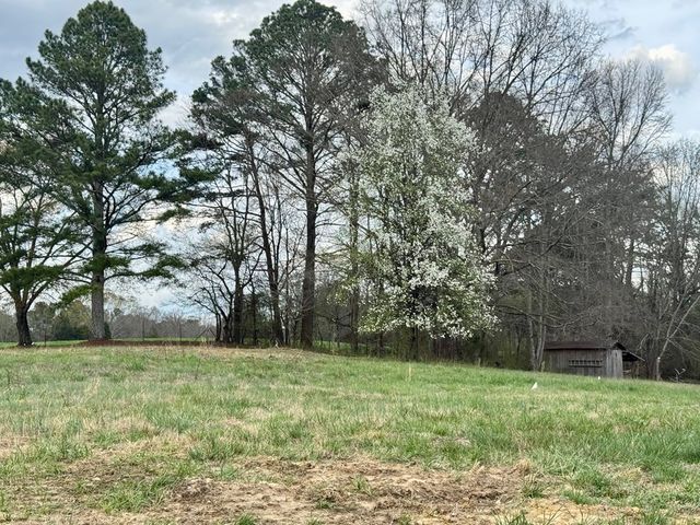 Tract 2 Mount Pleasant Road, Dalton, GA 30721