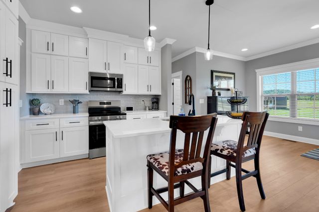 3256 Ostella Rd, Cornersville, TN 37047