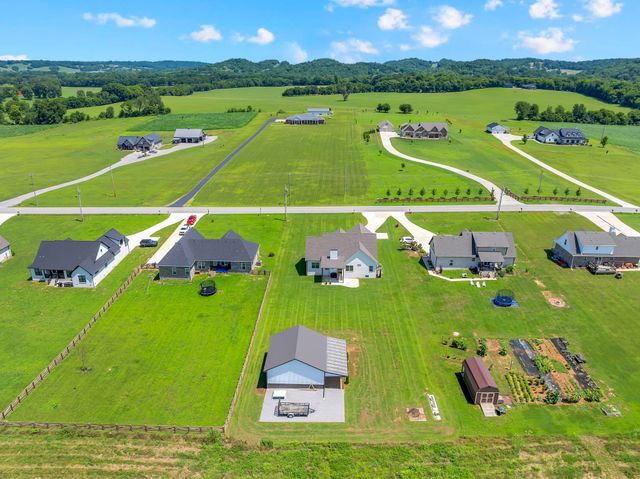 3256 Ostella Rd, Cornersville, TN 37047