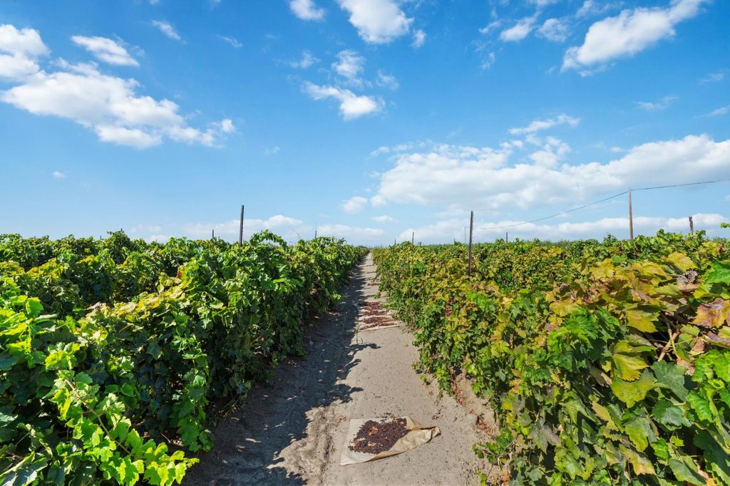 12623 S Mccall Avenue, Selma, CA 93662