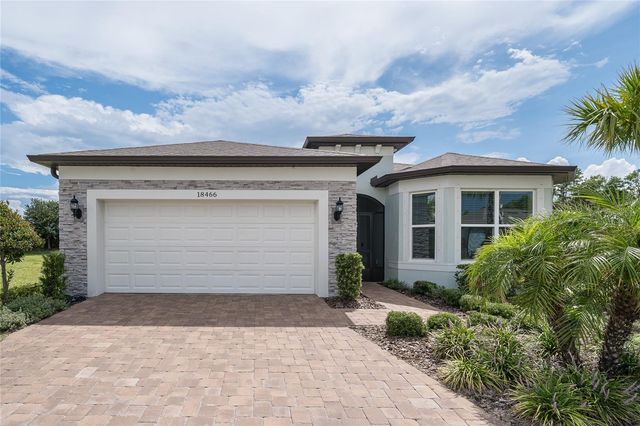 18466 COASTAL SHORE TERRACE, Land O Lakes, FL 34638