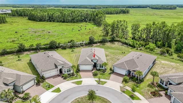 18466 COASTAL SHORE TERRACE, Land O Lakes, FL 34638