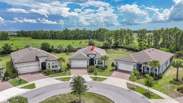 18466 COASTAL SHORE TERRACE, Land O Lakes, FL 34638