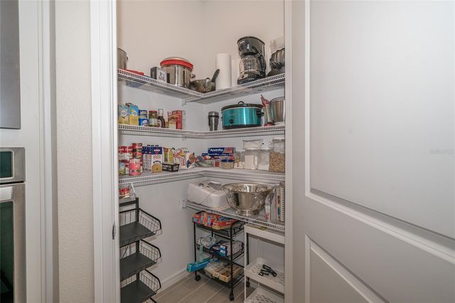 18466 COASTAL SHORE TERRACE, Land O Lakes, FL 34638
