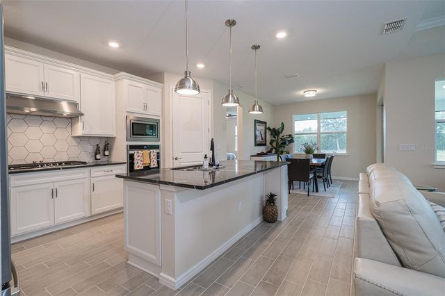 18466 COASTAL SHORE TERRACE, Land O Lakes, FL 34638