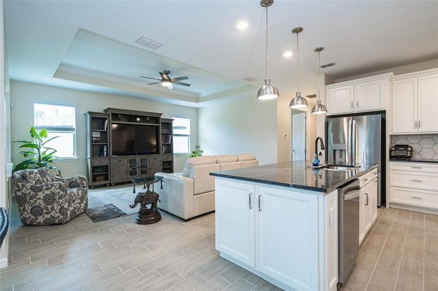 18466 COASTAL SHORE TERRACE, Land O Lakes, FL 34638