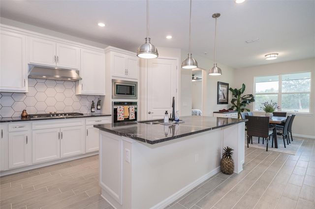 18466 COASTAL SHORE TERRACE, Land O Lakes, FL 34638