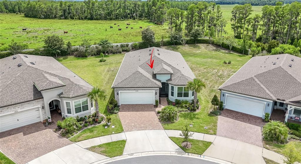 18466 COASTAL SHORE TERRACE, Land O Lakes, FL 34638