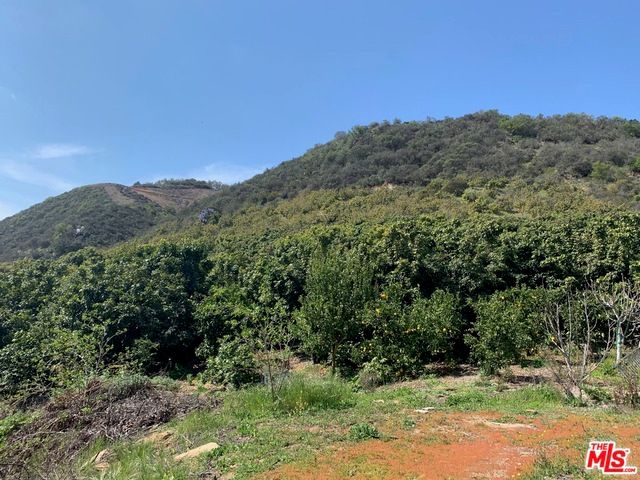 45220 Los Gatos Road, Temecula, CA 92590