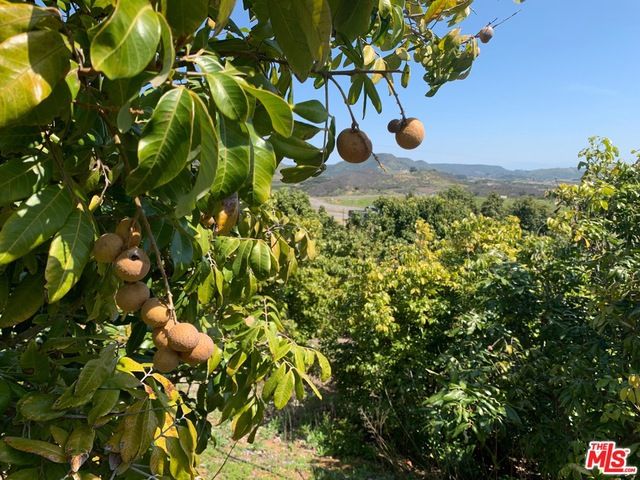 45220 Los Gatos Road, Temecula, CA 92590