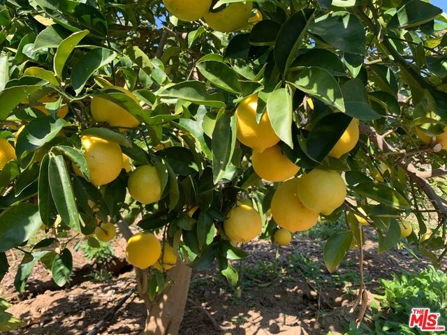 45220 Los Gatos Road, Temecula, CA 92590