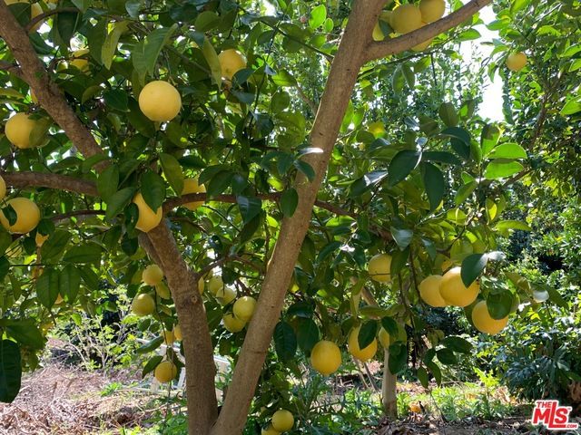 45220 Los Gatos Road, Temecula, CA 92590