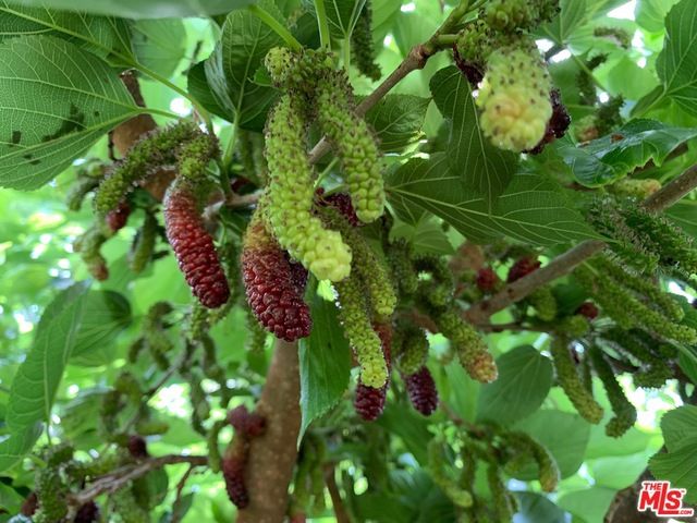 45220 Los Gatos Road, Temecula, CA 92590