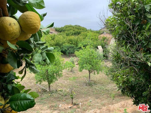 45220 Los Gatos Road, Temecula, CA 92590