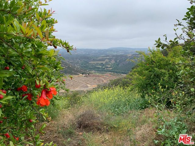 45220 Los Gatos Road, Temecula, CA 92590