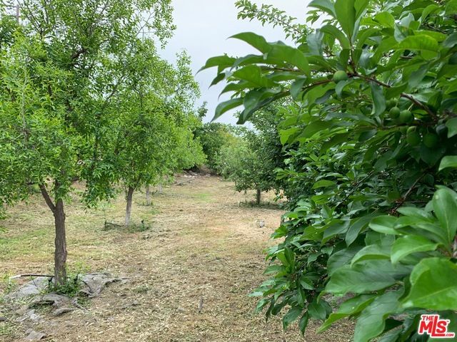 45220 Los Gatos Road, Temecula, CA 92590