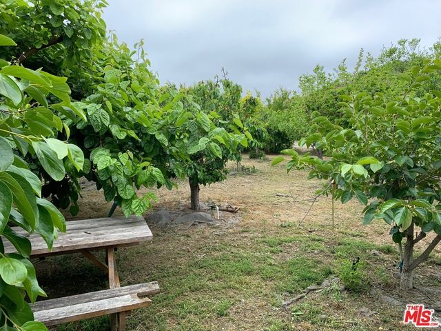 45220 Los Gatos Road, Temecula, CA 92590