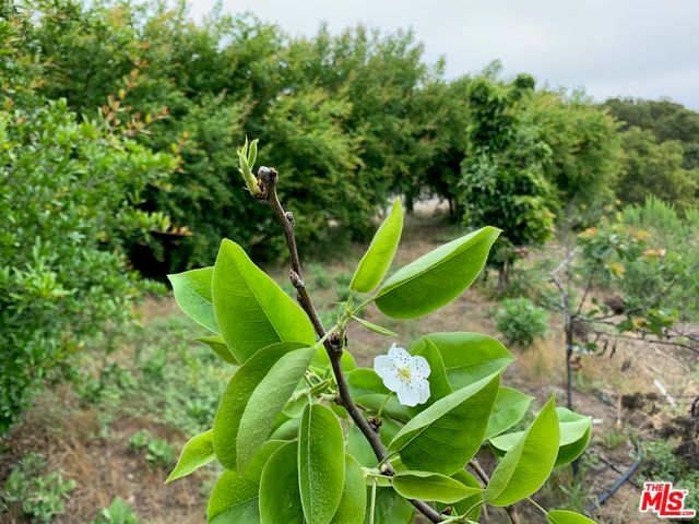 45220 Los Gatos Road, Temecula, CA 92590