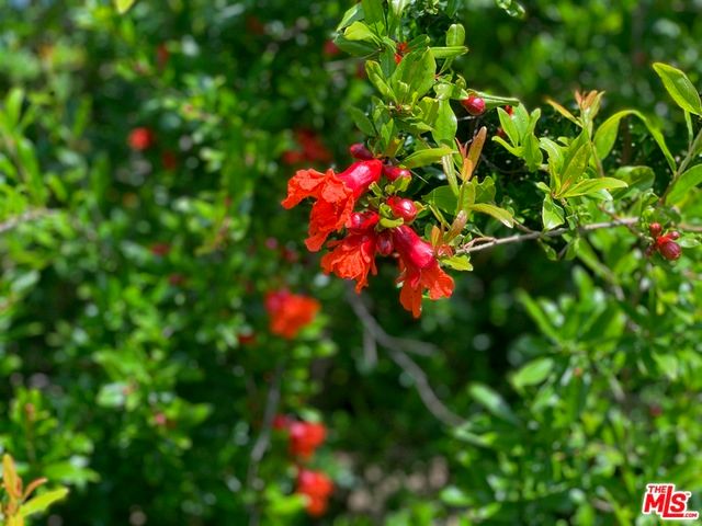 45220 Los Gatos Road, Temecula, CA 92590