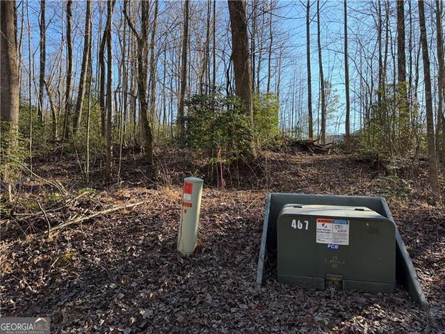 117 Joes Cove, Dawsonville, GA 30534