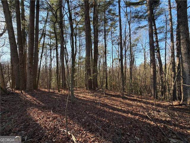 117 Joes Cove, Dawsonville, GA 30534