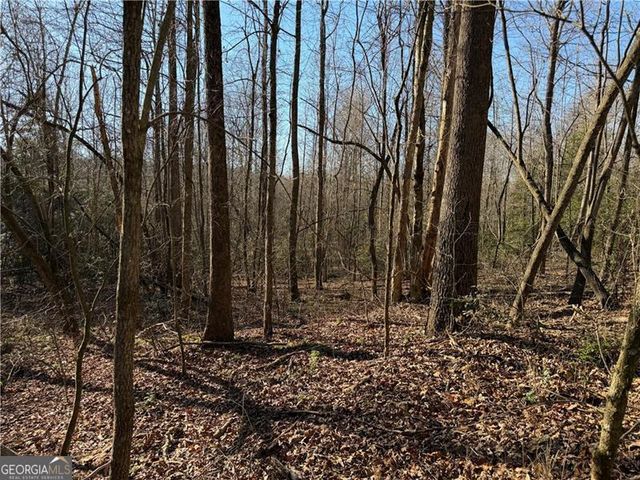 117 Joes Cove, Dawsonville, GA 30534