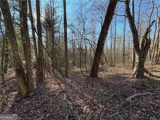 117 Joes Cove, Dawsonville, GA 30534