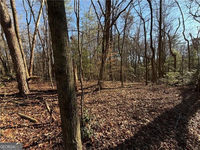 117 Joes Cove, Dawsonville, GA 30534