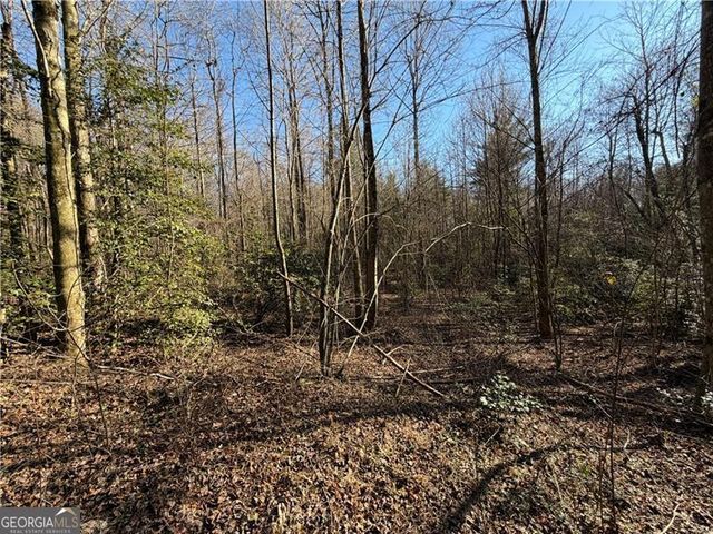 117 Joes Cove, Dawsonville, GA 30534