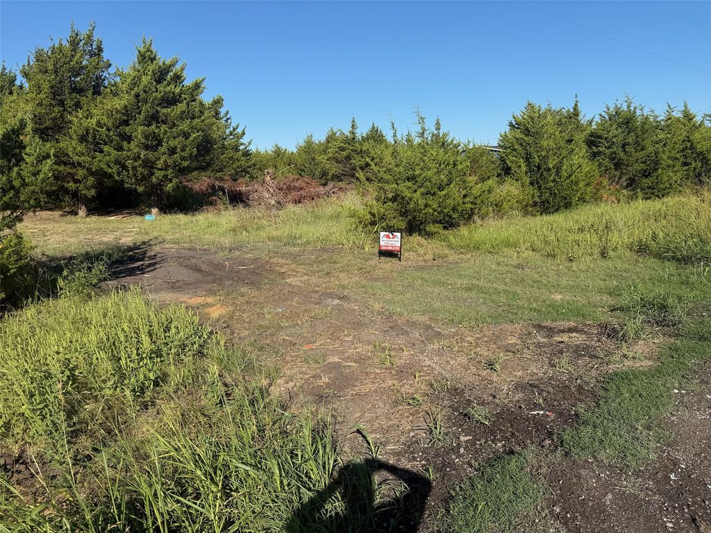 2641 Lemonade Lane, Farmersville, TX 75442