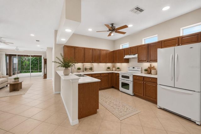 20931 DIAMONTE DRIVE, Land O Lakes, FL 34637