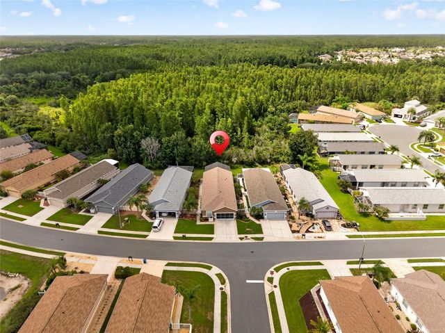20931 DIAMONTE DRIVE, Land O Lakes, FL 34637