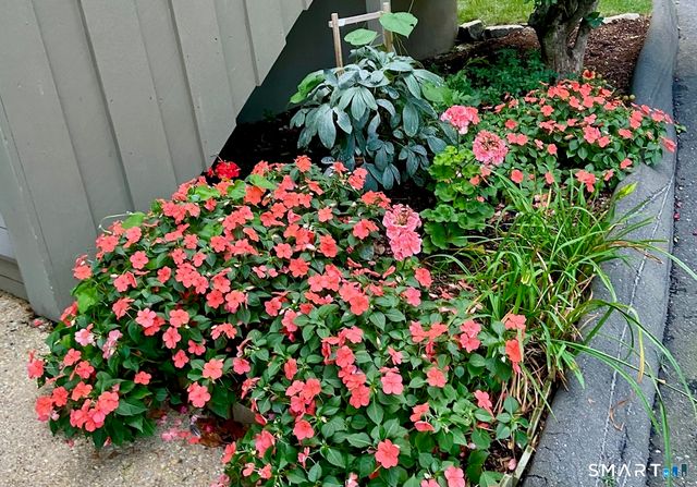 11 Ledgebrook Drive 11, Norwalk, CT 06854