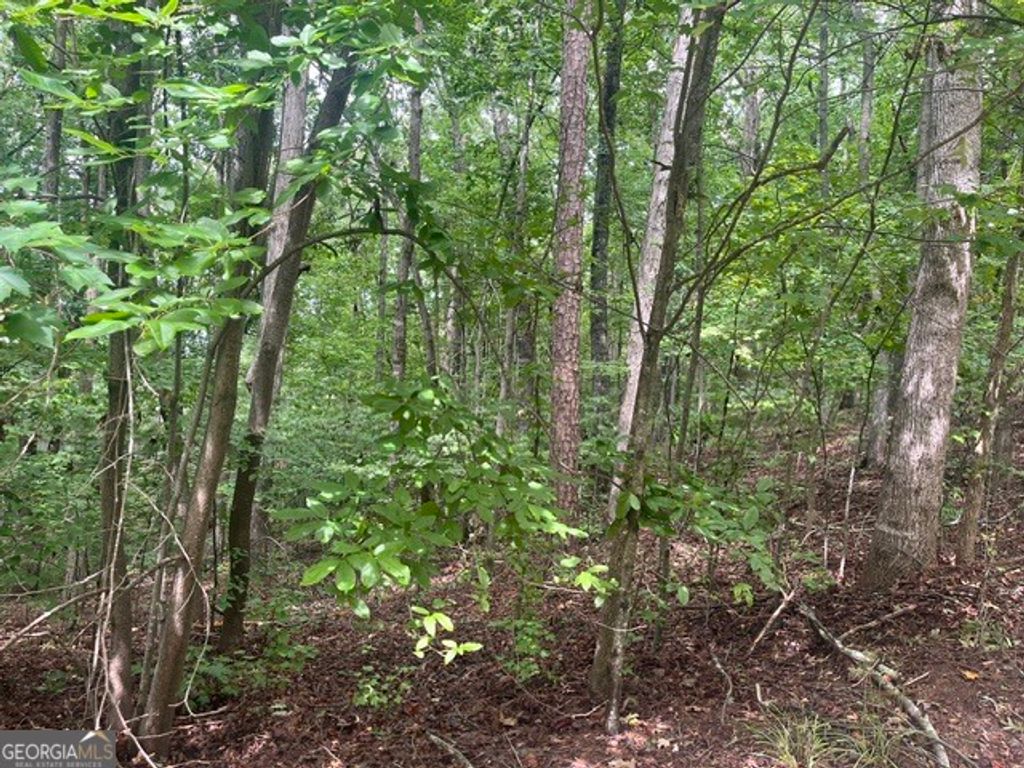 135 Tulip, Westminster, SC 29693 — photo 2