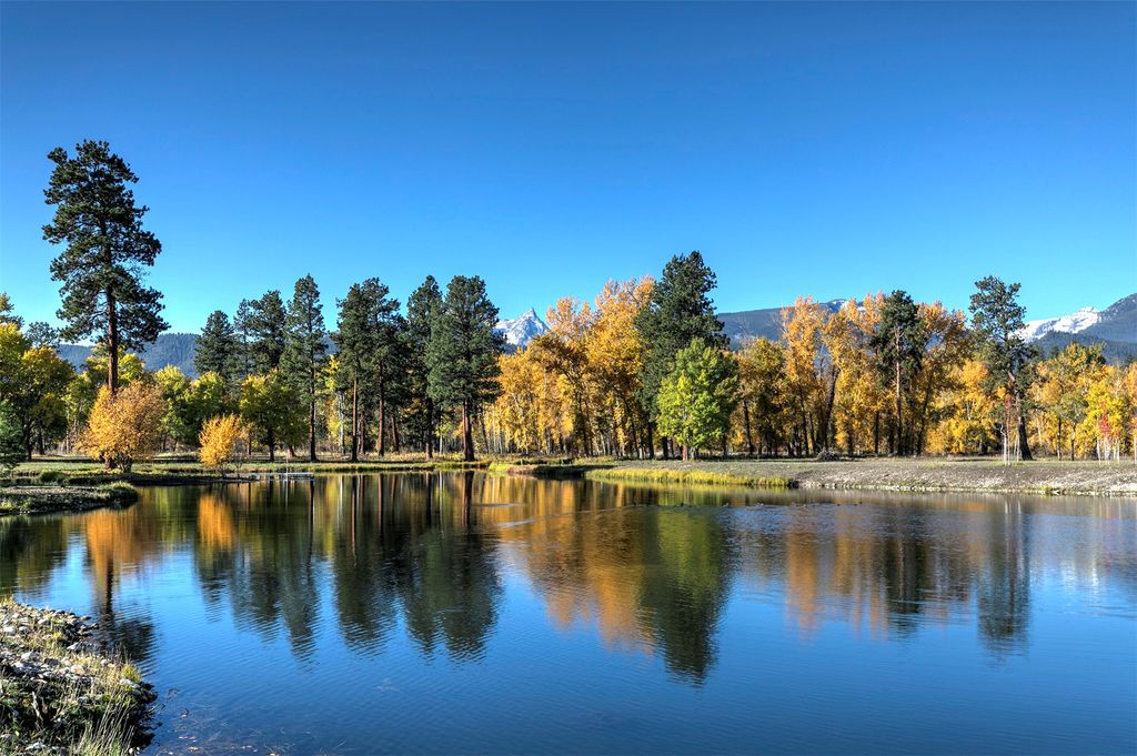 50 Tippet Trail, Darby, MT 59829 photo 81