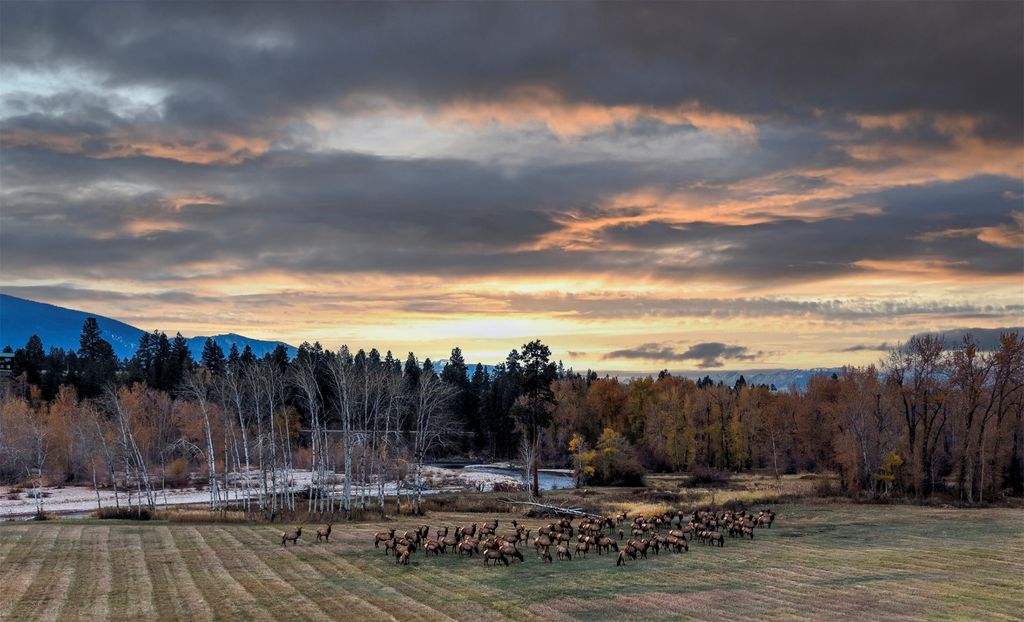 50 Tippet Trail, Darby, MT 59829 photo 85