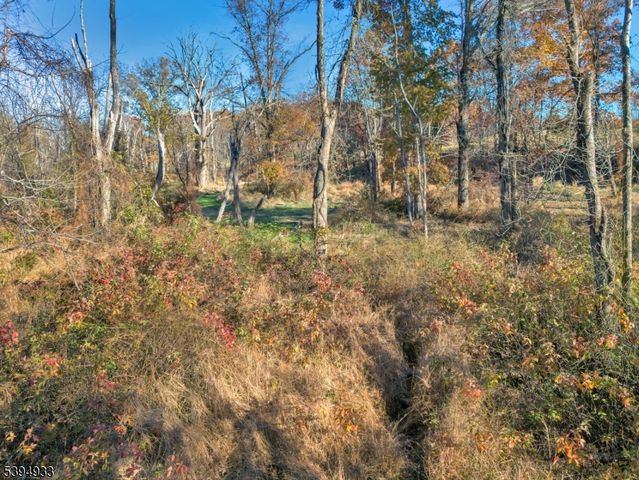 58 Dunkard Church Rd, Delaware Twp., NJ 08559