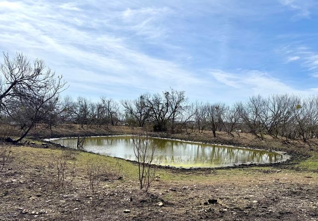 4515 Stapper Rd, Saint Hedwig, TX 78152