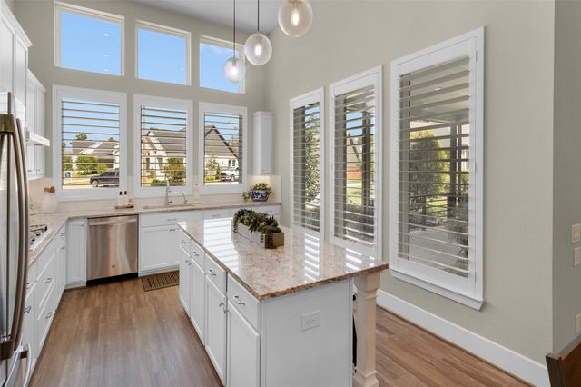 144 Dandelion Way, Montgomery, TX 77316